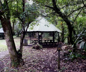 Guayabo National Monument 9